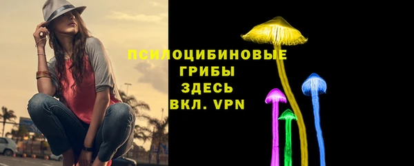 кокс Алексеевка