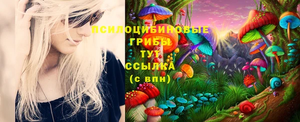 шишки Армянск