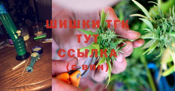 шишки Армянск