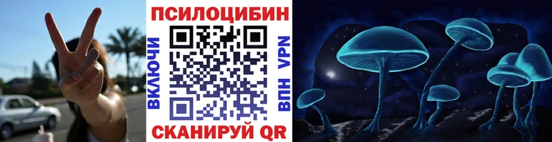дарк нет Telegram  Асино  blacksprut ТОР  Псилоцибиновые грибы мухоморы  магазин  наркотиков 