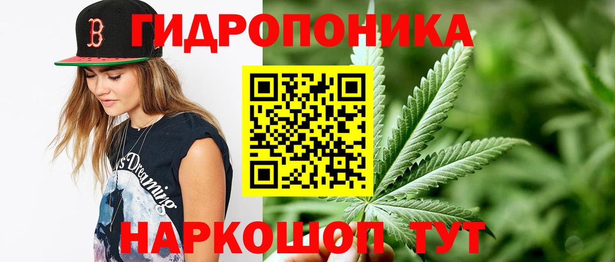 Марихуана OG Kush  Шишки марихуана Ganja  Конопля семена  Асино  Вход с VPN 