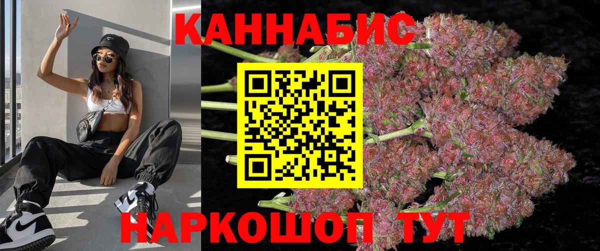 Конопля индика Асино